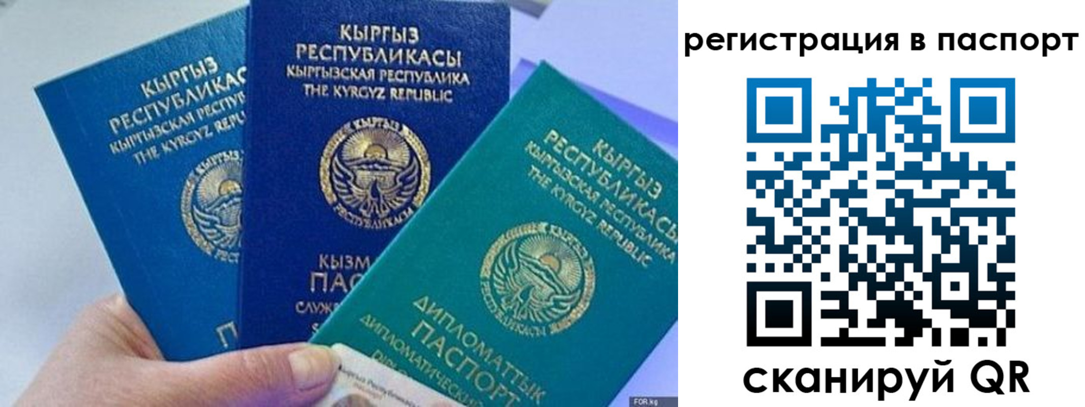 прописка 2025 в Курчатове